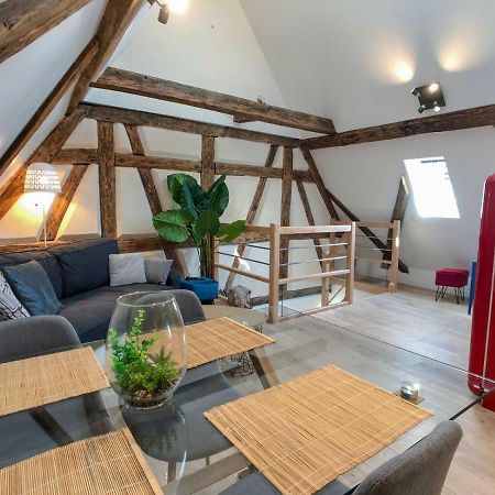 Beauty & The Beast - Old Town Cosy Apartments Colmar Exterior foto