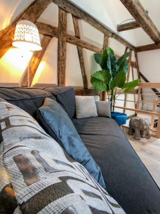 Beauty & The Beast - Old Town Cosy Apartments Colmar Exterior foto